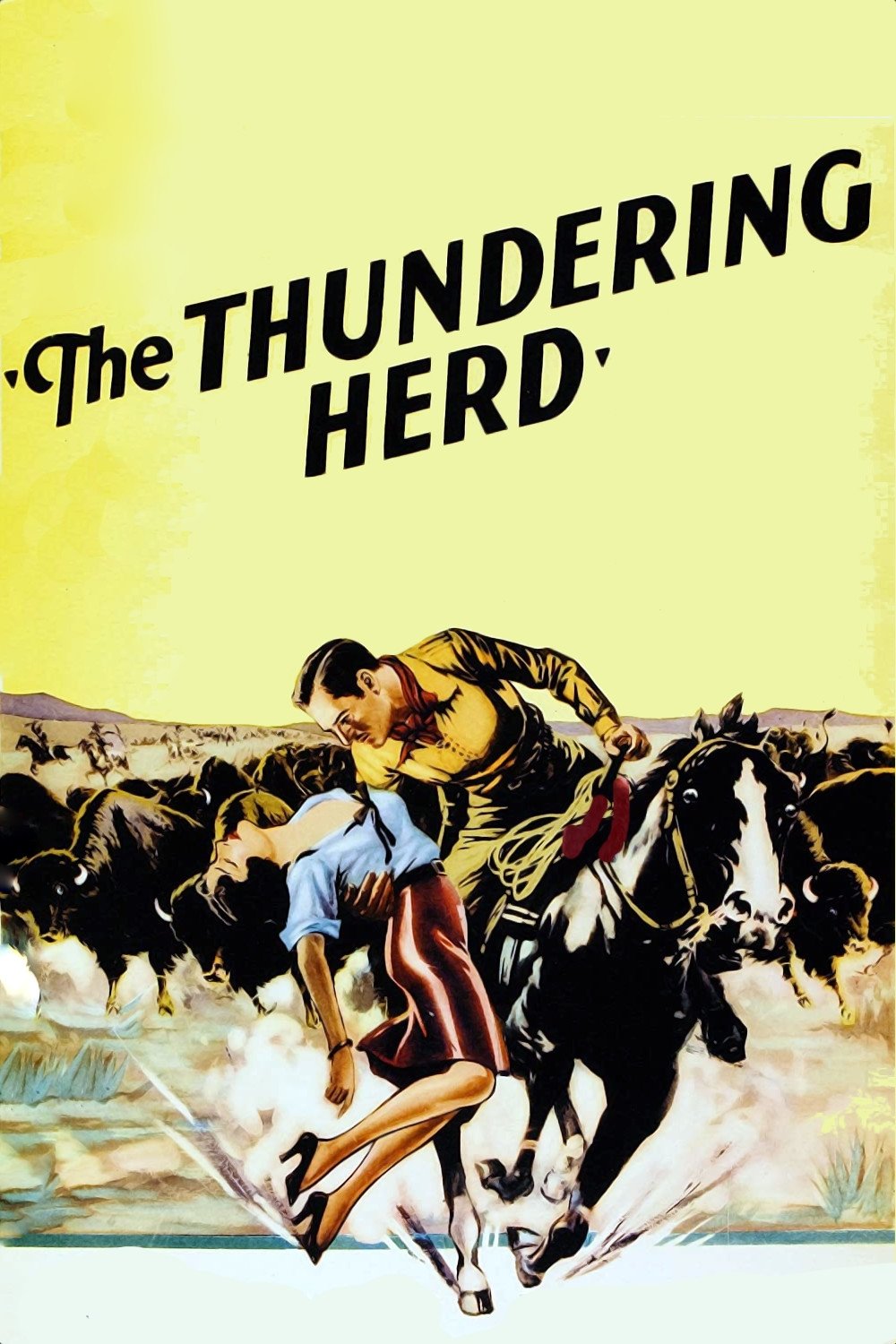 Buffalo Stampede poster