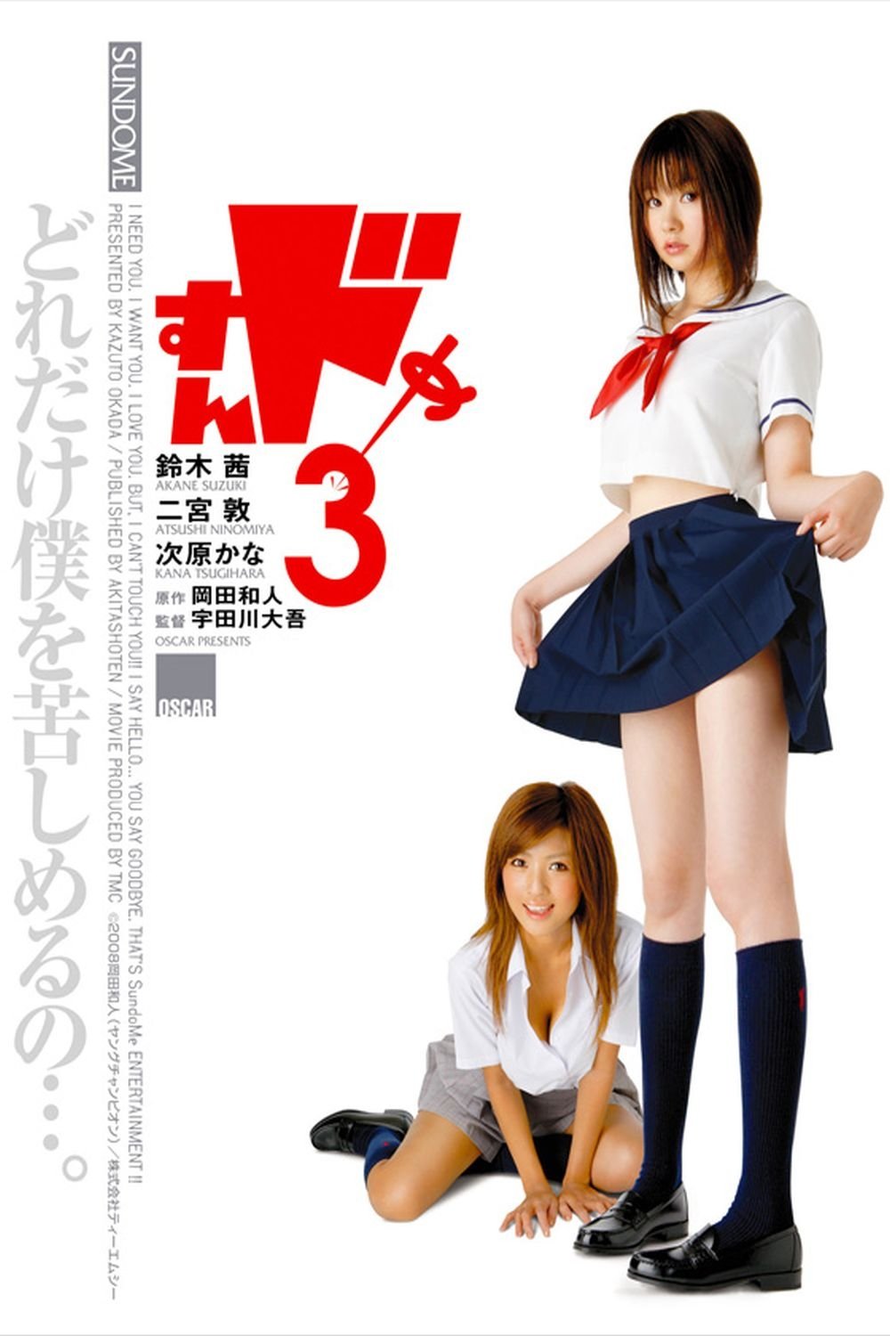 Sundome 3 poster