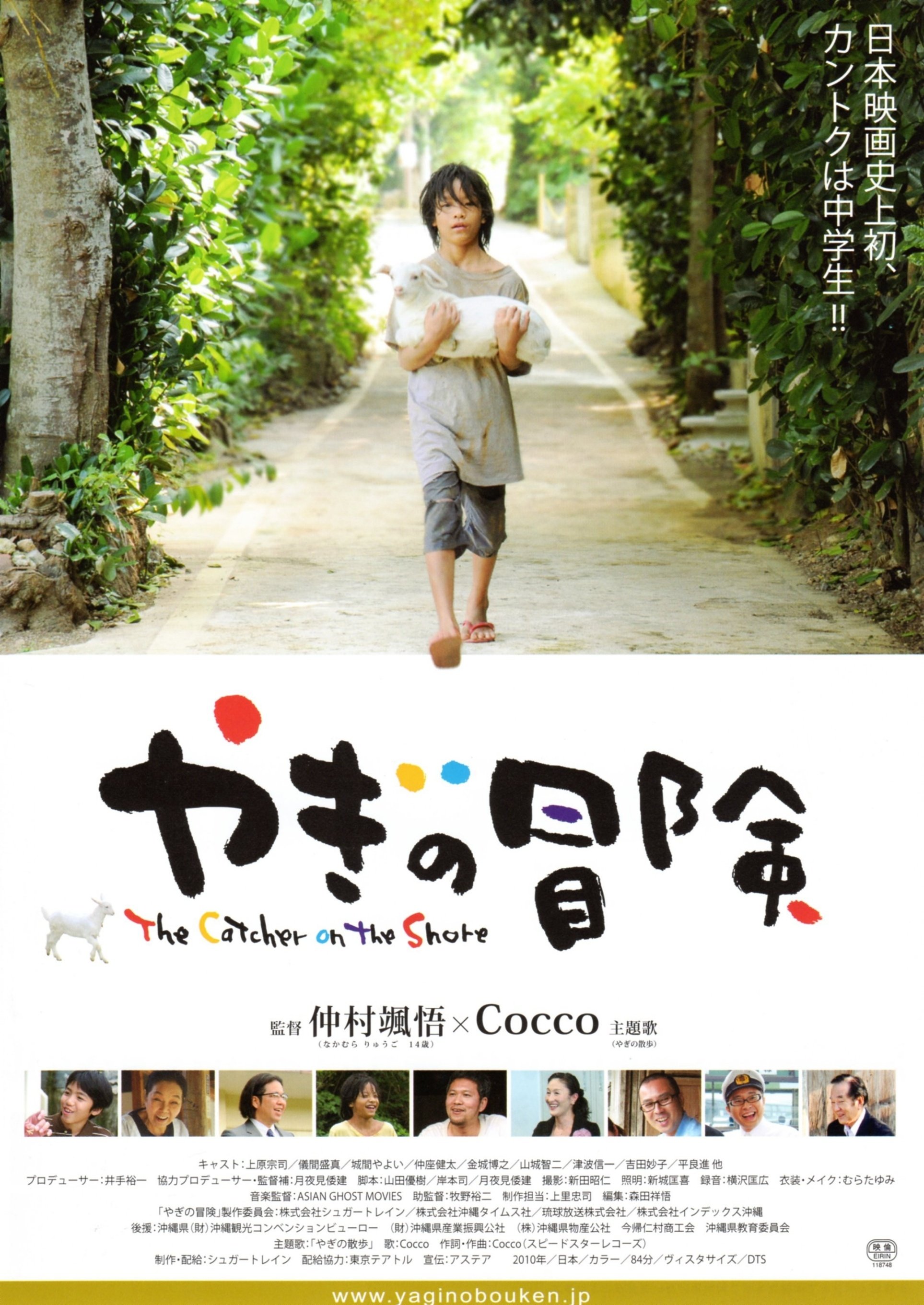 The Catcher On The Shore poster