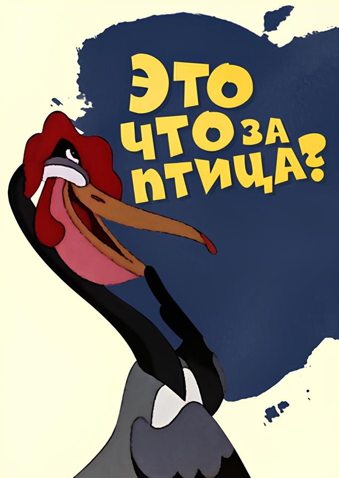 What Kind of Bird Is This? poster